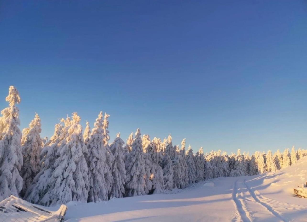 Ferienwohnung Tannhaeuser Braunlage Exteriör bild
