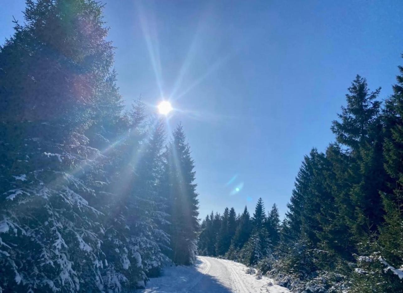 Ferienwohnung Tannhaeuser Braunlage Exteriör bild